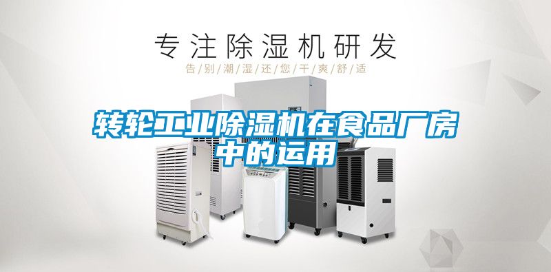 转轮工业樱桃TV在线观看机在食品厂房中的运用
