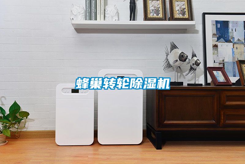 蜂巢转轮樱桃TV在线观看机