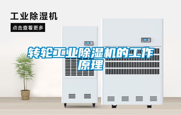 转轮工业樱桃TV在线观看机的工作原理