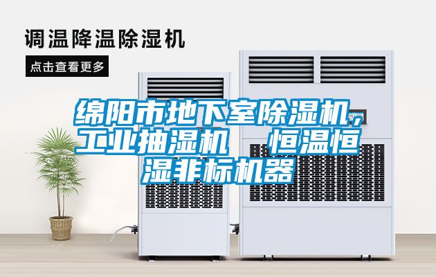 绵阳市地下室樱桃TV在线观看机，工业抽湿机  恒温恒湿非标机器
