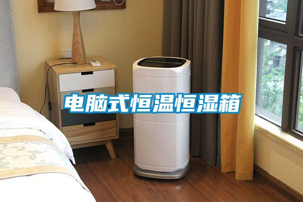 电脑式恒温恒湿箱