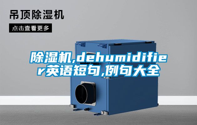樱桃TV在线观看机,dehumidifier英语短句,例句大全