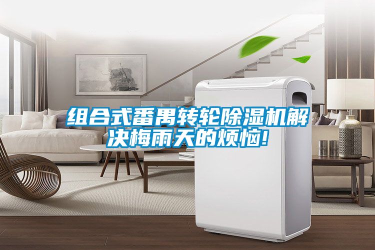 组合式番禺转轮樱桃TV在线观看机解决梅雨天的烦恼!