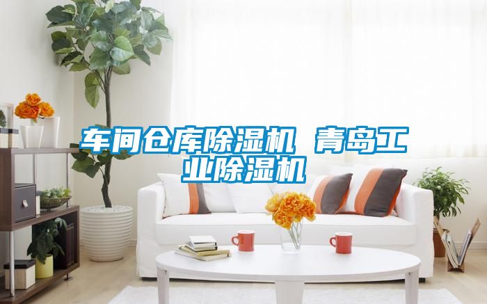 车间仓库樱桃TV在线观看机 青岛工业樱桃TV在线观看机