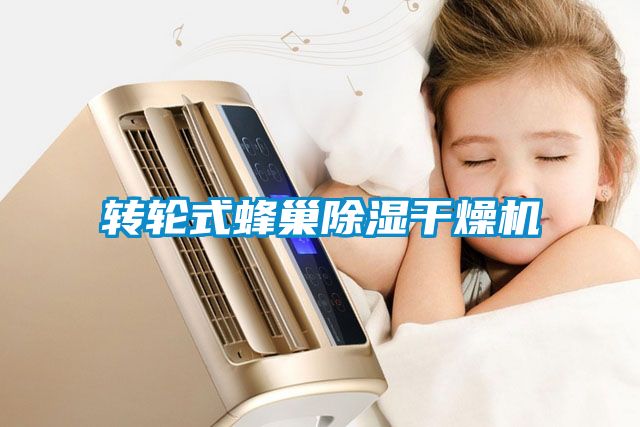 转轮式蜂巢樱桃TV在线观看干燥机