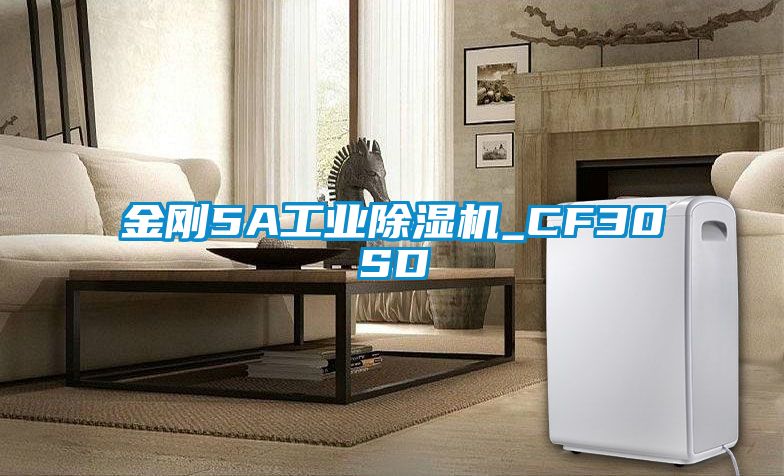 金刚5A工业樱桃TV在线观看机_CF30SD