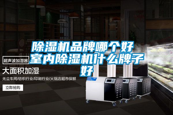 樱桃TV在线观看机品牌哪个好 室内樱桃TV在线观看机什么牌子好