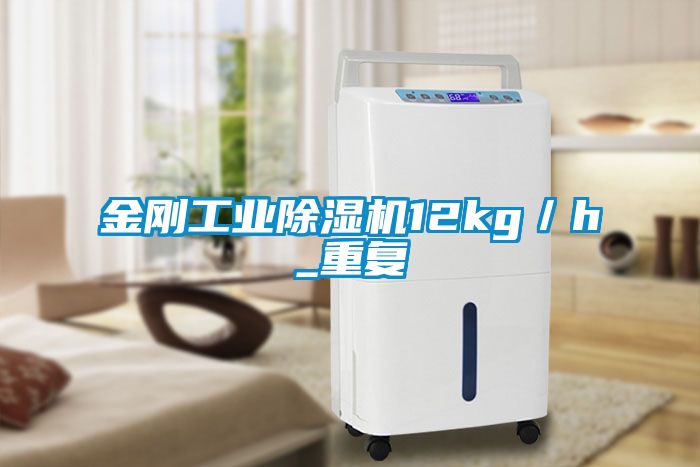 金刚工业樱桃TV在线观看机12kg／h_重复