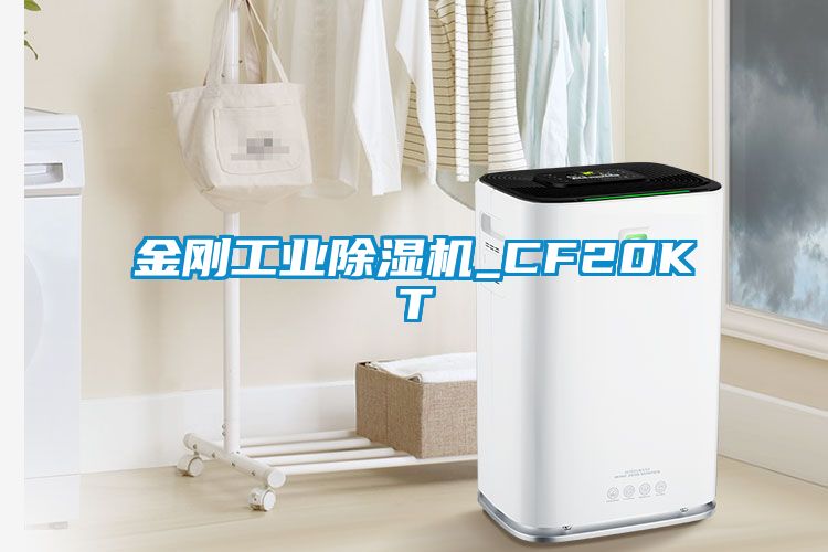 金刚工业樱桃TV在线观看机_CF20KT