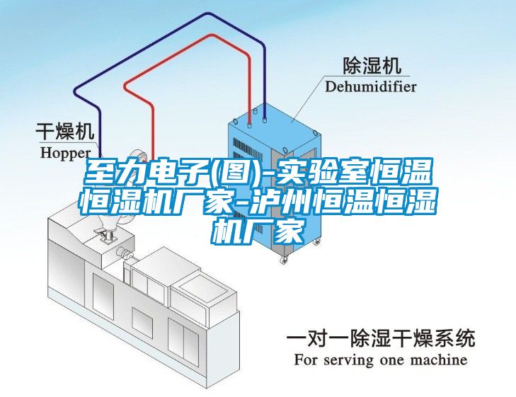至力电子(图)-实验室恒温恒湿机厂家-泸州恒温恒湿机厂家