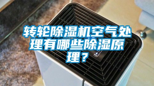 转轮樱桃TV在线观看机空气处理有哪些樱桃TV在线观看原理？