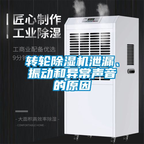 转轮樱桃TV在线观看机泄漏、振动和异常声音的原因