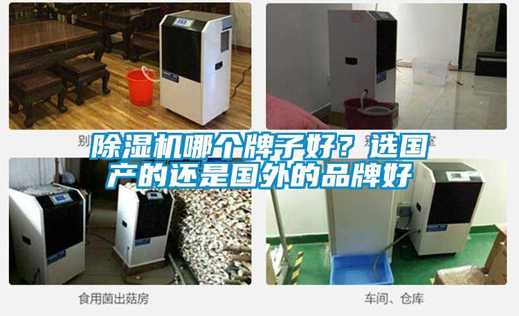 樱桃TV在线观看机哪个牌子好？选国产的还是国外的品牌好
