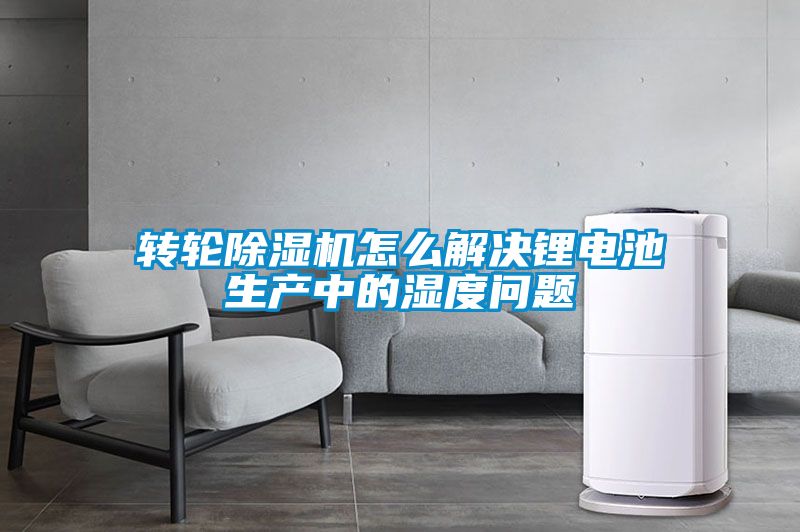 转轮樱桃TV在线观看机怎么解决锂电池生产中的湿度问题