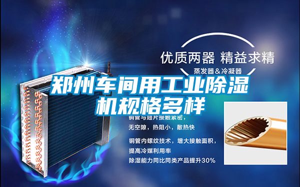 郑州车间用工业樱桃TV在线观看机规格多样