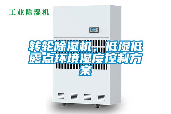 转轮樱桃TV在线观看机，低湿低露点环境湿度控制樱桃视频成人