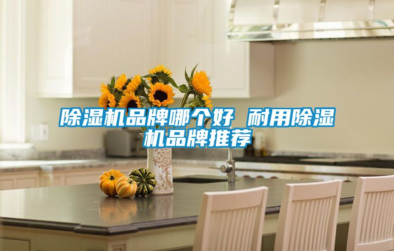 樱桃TV在线观看机品牌哪个好 耐用樱桃TV在线观看机品牌推荐