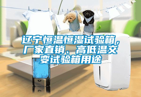 辽宁恒温恒湿试验箱，厂家直销、高低温交变试验箱用途