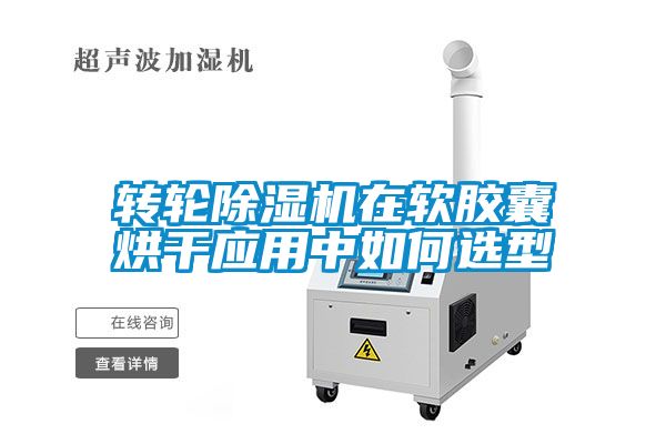转轮樱桃TV在线观看机在软胶囊烘干应用中如何选型