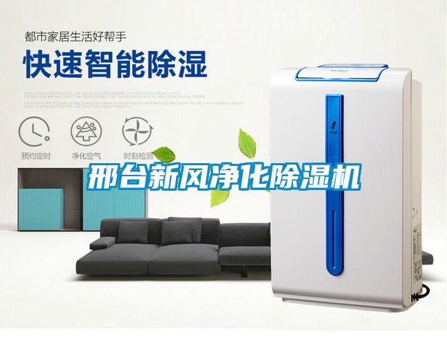 邢台新风净化樱桃TV在线观看机