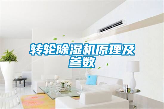 转轮樱桃TV在线观看机原理及参数