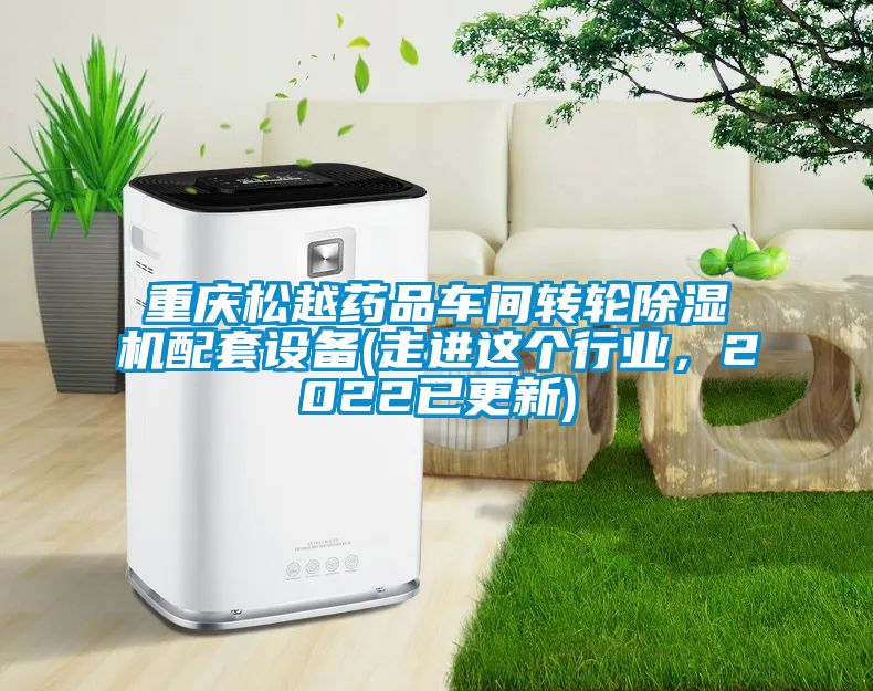 重庆松越药品车间转轮樱桃TV在线观看机配套设备(走进这个行业，2022已更新)