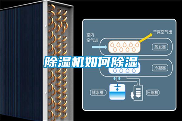 樱桃TV在线观看机如何樱桃TV在线观看