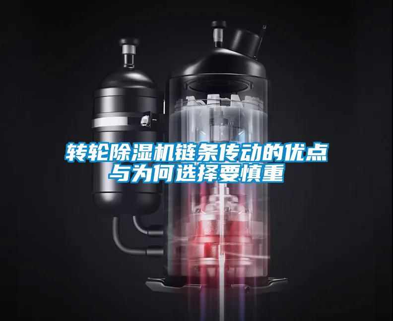 转轮樱桃TV在线观看机链条传动的优点与为何选择要慎重