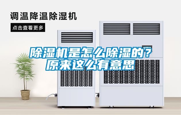 樱桃TV在线观看机是怎么樱桃TV在线观看的？原来这么有意思