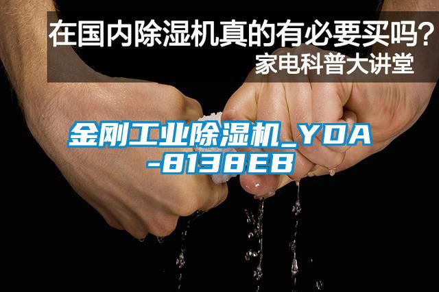 金刚工业樱桃TV在线观看机_YDA-8138EB