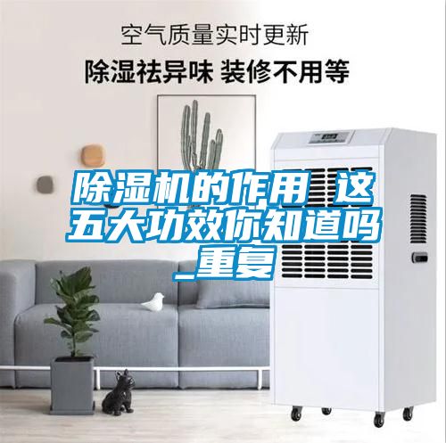 樱桃TV在线观看机的作用 这五大功效你知道吗_重复