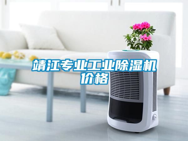 靖江专业工业樱桃TV在线观看机价格