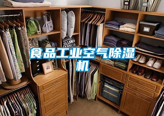 食品工业空气樱桃TV在线观看机