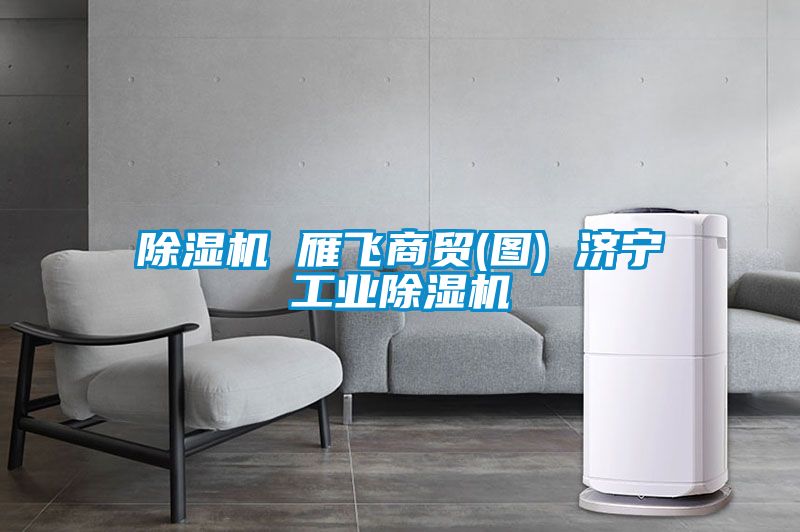 樱桃TV在线观看机 雁飞商贸(图) 济宁工业樱桃TV在线观看机