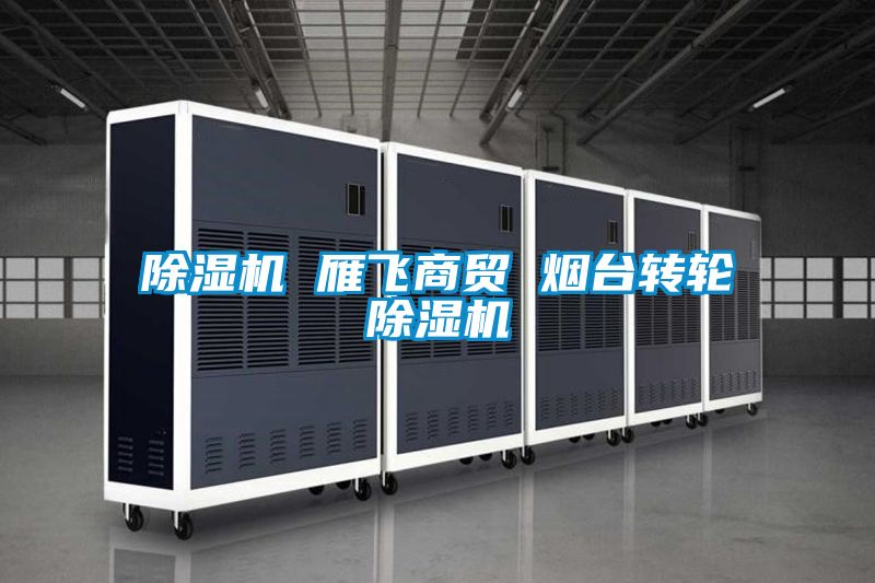 樱桃TV在线观看机 雁飞商贸 烟台转轮樱桃TV在线观看机