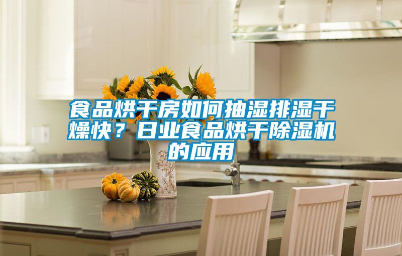 食品烘干房如何抽湿排湿干燥快？日业食品烘干樱桃TV在线观看机的应用