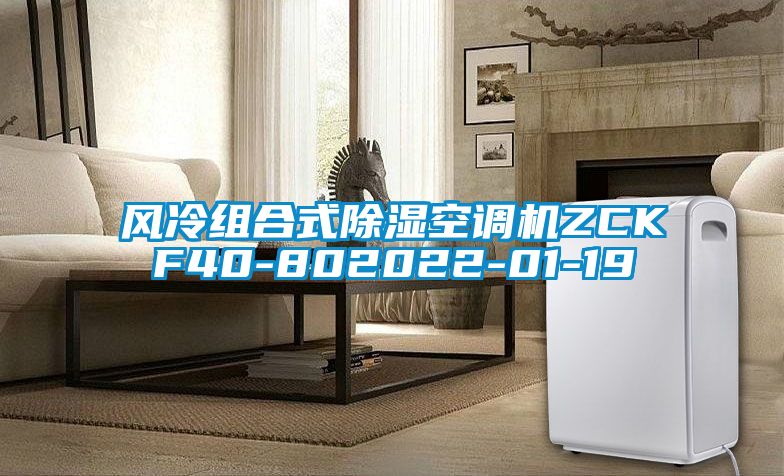 风冷组合式樱桃TV在线观看空调机ZCKF40-802022-01-19