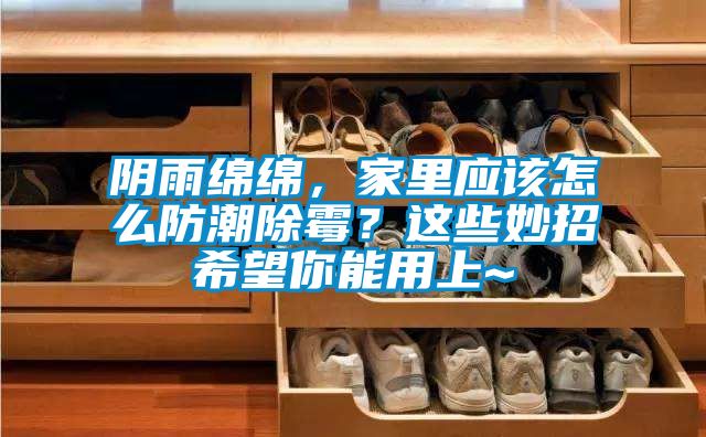 阴雨绵绵，家里应该怎么防潮除霉？这些妙招希望你能用上~