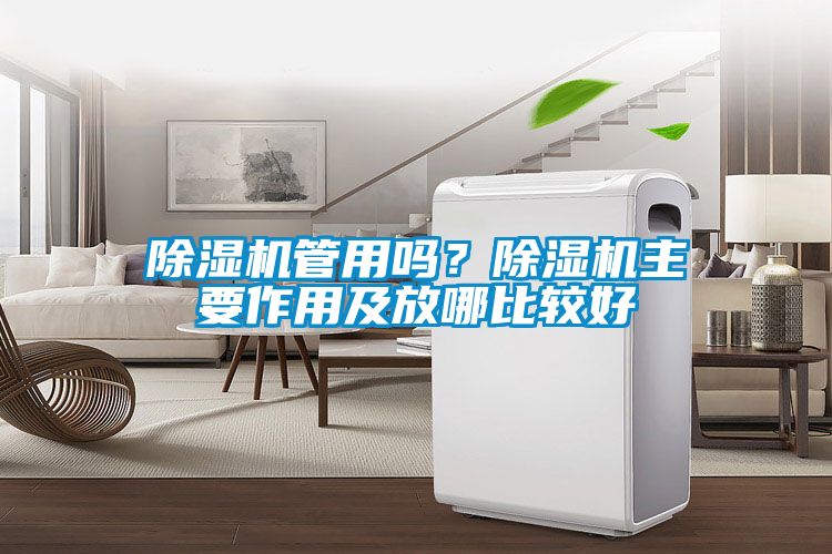 樱桃TV在线观看机管用吗？樱桃TV在线观看机主要作用及放哪比较好