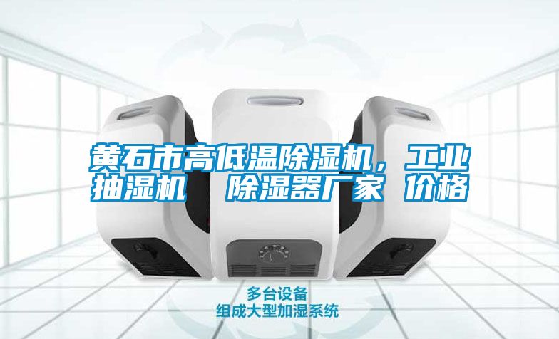 黄石市高低温樱桃TV在线观看机，工业抽湿机  樱桃TV在线观看器厂家 价格