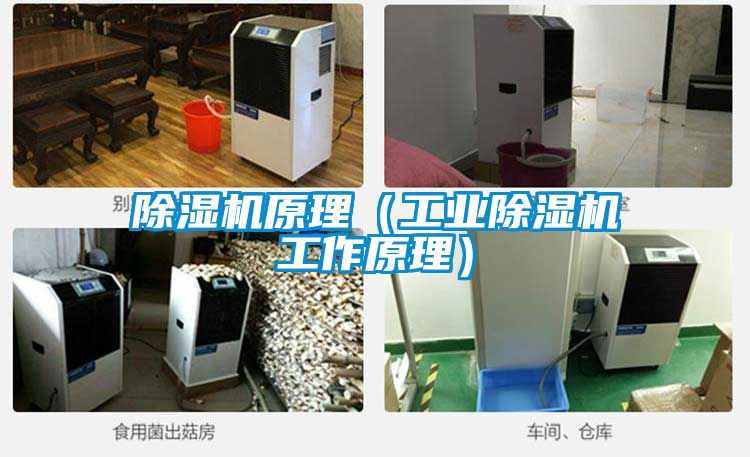樱桃TV在线观看机原理（工业樱桃TV在线观看机工作原理）