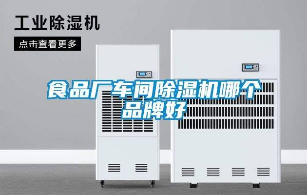 食品厂车间樱桃TV在线观看机哪个品牌好