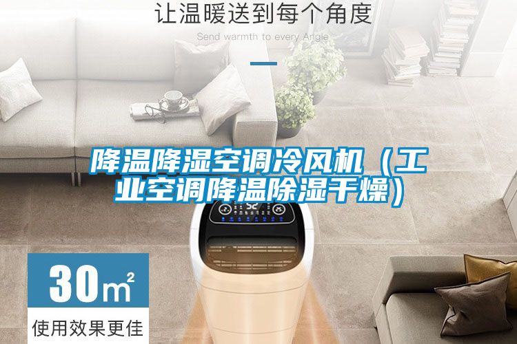 降温降湿空调冷风机（工业空调降温樱桃TV在线观看干燥）