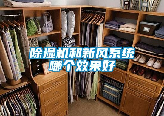 樱桃TV在线观看机和新风系统哪个效果好