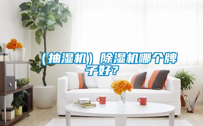 （抽湿机）樱桃TV在线观看机哪个牌子好？