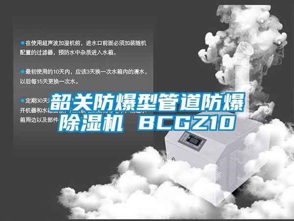 韶关防爆型管道防爆樱桃TV在线观看机 BCGZ10