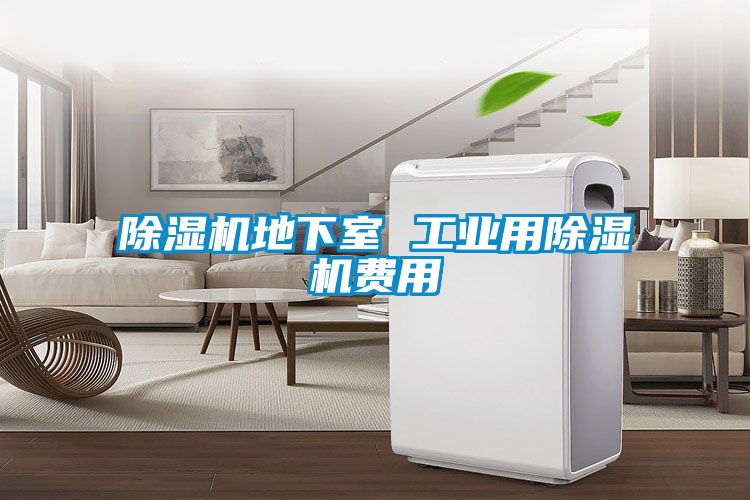 樱桃TV在线观看机地下室 工业用樱桃TV在线观看机费用