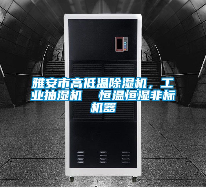 雅安市高低温樱桃TV在线观看机，工业抽湿机  恒温恒湿非标机器