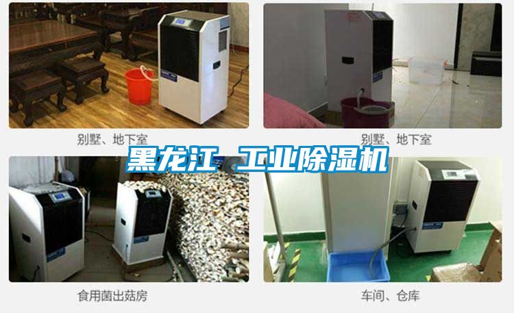 黑龙江 工业樱桃TV在线观看机