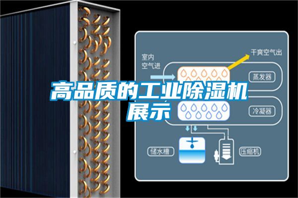 高品质的工业樱桃TV在线观看机展示